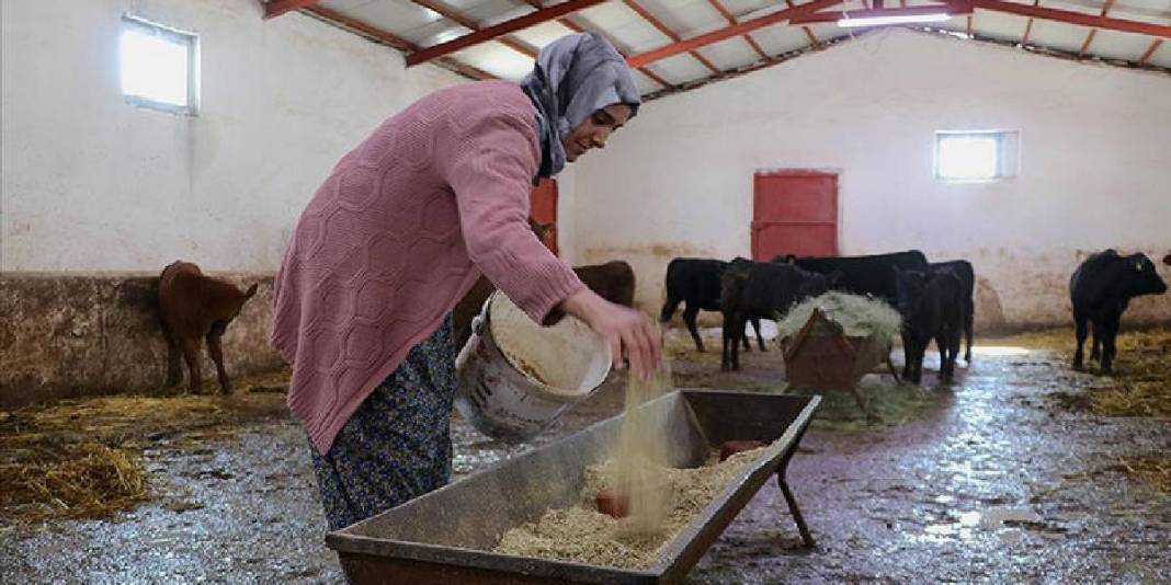Devlet desteği hayvancılık kariyerini başlattı: 5 ayda sayılarını 2 kat artırdı 1
